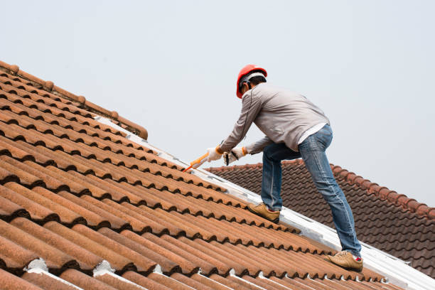 4 Ply Roofing in Weston Lakes, TX